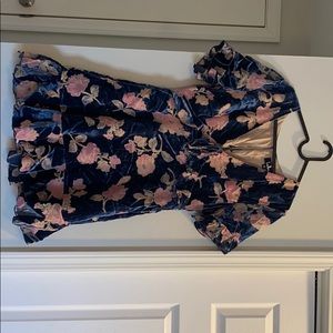 Blue Velvet Pink Floral Dress